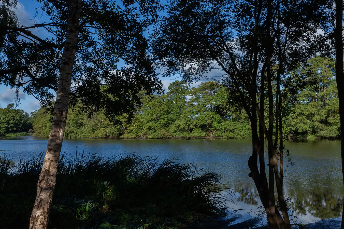 Broadwater Lake in the grounds of Oatlands Park Hotel