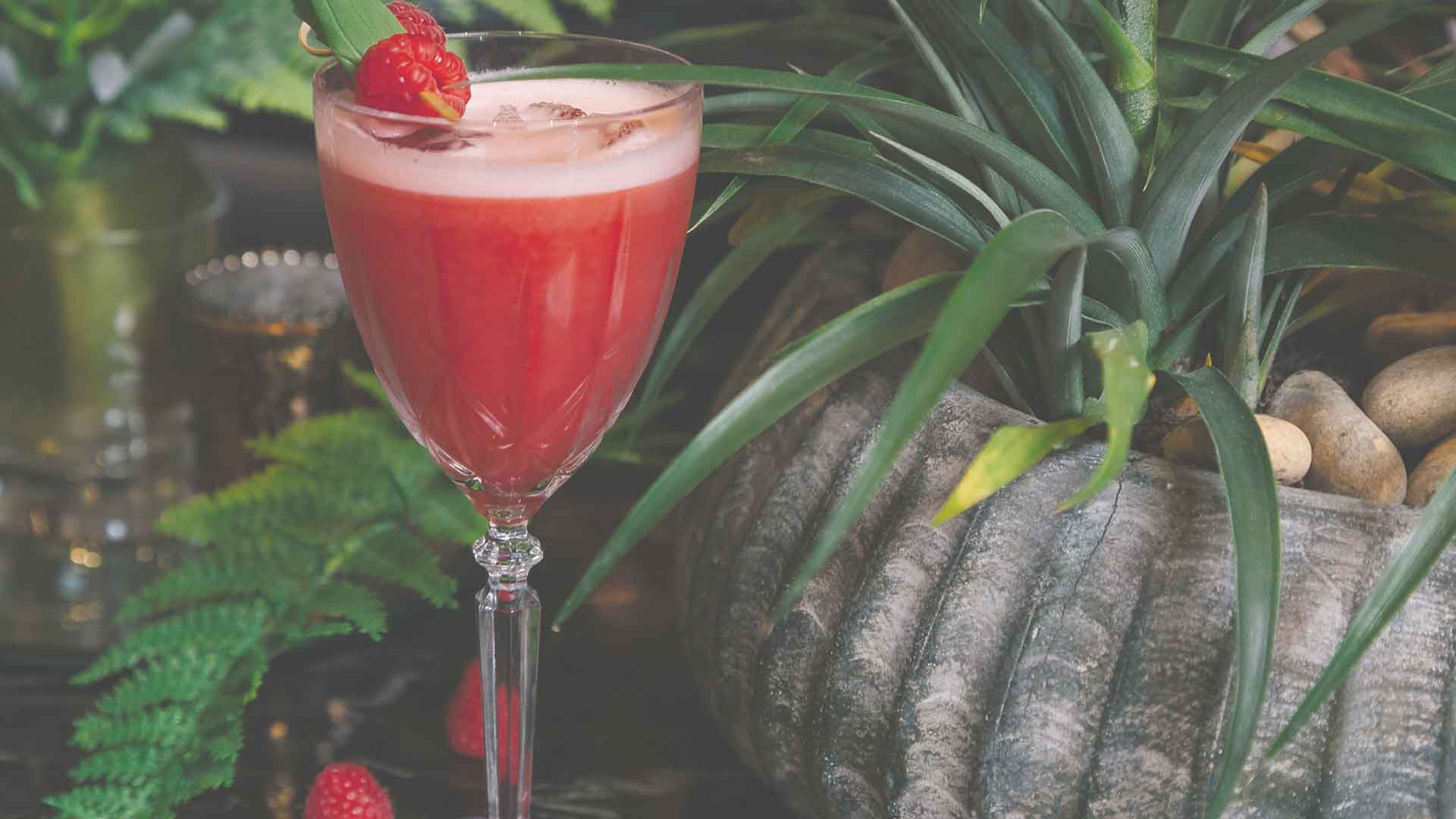 Valentine's Day cocktail recipe